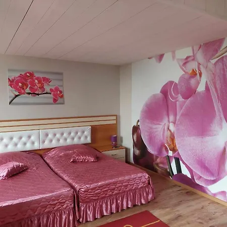 Dobrudja Hotel 3*