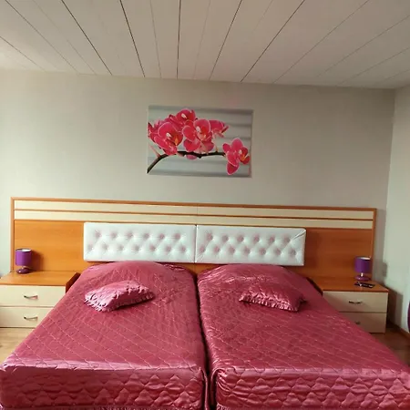 Dobrudja Hotel 3*