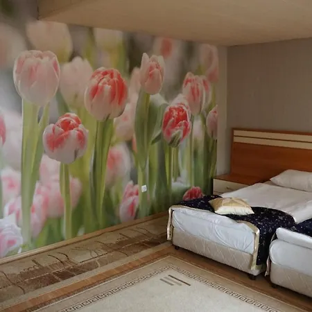 Otel Dobrudja 3*